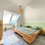 Miete 1 Schlafzimmer wohnung von 45 m² in Chemnitz