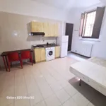 Rent 1 bedroom apartment of 36 m² in Bologna