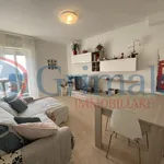 Rent 3 bedroom apartment of 90 m² in Perugia