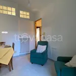 Rent 4 bedroom apartment of 110 m² in Torino