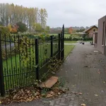 Huur 3 slaapkamer huis van 500 m² in Borgloon