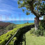 Rent 4 bedroom apartment of 120 m² in Monte Argentario