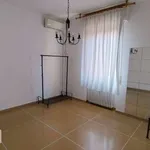 Rent 3 bedroom apartment of 80 m² in Bologna