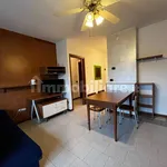 Rent 2 bedroom apartment of 40 m² in Verona