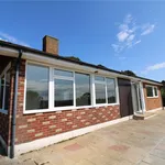 Rent 4 bedroom house in Rye