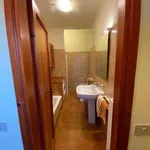 Rent 1 bedroom house of 40 m² in Florence