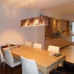 Rent 1 bedroom apartment in Antwerpen