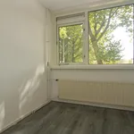 Huur 4 slaapkamer huis van 102 m² in Doornbos-Linie