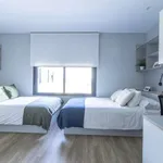 Rent 1 bedroom apartment in seville