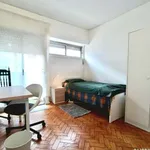 Rent a room in lisbon