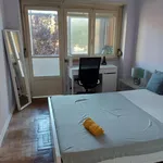 Rent 4 bedroom apartment in Lisbon