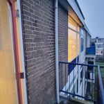 Rent 3 bedroom apartment of 60 m² in Rotterdam