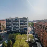 Rent 1 bedroom apartment in Turin