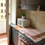 Rent 1 bedroom apartment in Rome