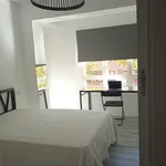 Rent a room of 150 m² in Palma