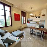 Rent 2 bedroom apartment of 55 m² in Pisa