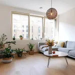 Rent 1 bedroom apartment in Antwerpen