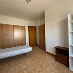 Rent 3 bedroom apartment of 110 m² in Roma