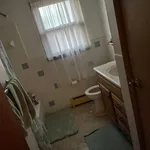 Rent 3 bedroom apartment in Buffalo