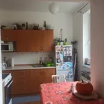 Rent 1 bedroom apartment in Jičín