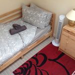 Single room very close to Belfast! (Has an Apartment)
