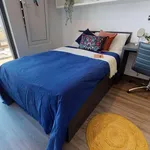 Rent 20 bedroom apartment in London