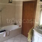 Rent 4 bedroom apartment of 125 m² in Piacenza