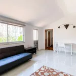 Rent 1 bedroom apartment of 60 m² in lisbon