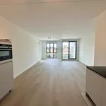 Rent 3 bedroom apartment of 82 m² in Binnenstad