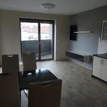 Rent 2 bedroom apartment of 65 m² in  ulice Hybešova