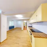 Rent 3 bedroom apartment in Plzeň