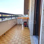 Rent 2 bedroom apartment of 45 m² in Nettuno