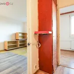 Rent 2 bedroom apartment of 32 m² in Šlapanice