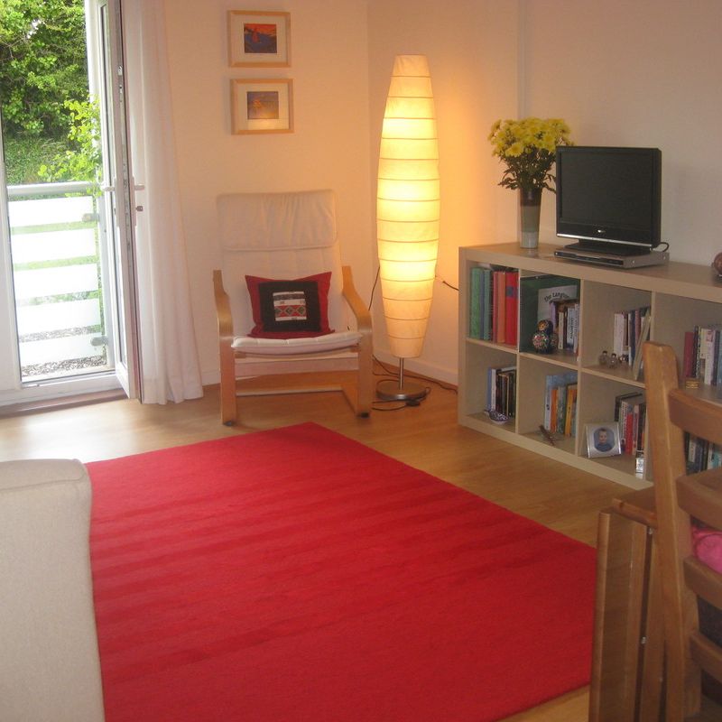 Cosy room in well-situated location (Has an Apartment)