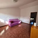 Rent 3 bedroom apartment of 70 m² in Cuneo