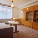 Rent 1 bedroom apartment of 30 m² in Trhový Štěpánov