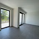 Rent 2 bedroom apartment of 81 m² in Waregem