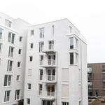 Rent 1 bedroom apartment of 49 m² in berlin