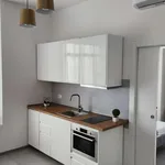 Rent 1 bedroom apartment in milan