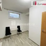 Rent 1 bedroom apartment of 30 m² in Mikulov