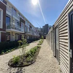 Rent 2 bedroom apartment of 50 m² in De Waard