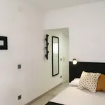 Rent 5 bedroom apartment in Madrid