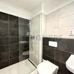 Rent 1 bedroom apartment of 35 m² in Brno