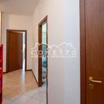 Rent 3 bedroom apartment of 92 m² in Verona