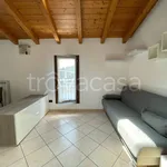 Rent 2 bedroom apartment of 50 m² in Lissone