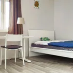 Rent a room in Warszawa