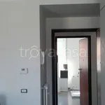 Rent 2 bedroom apartment of 50 m² in Frosinone