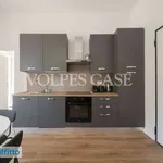 Rent 2 bedroom apartment of 55 m² in Milan