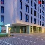 Rent 2 bedroom apartment in Brno