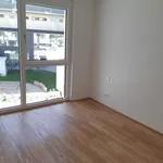 Rent 2 bedroom apartment of 49 m² in Graz